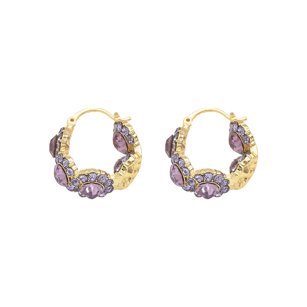 Niche Fashion Purple Zircon Earrings